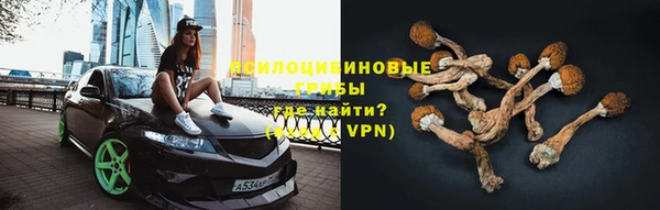 прущая мука Медногорск