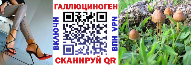 Галлюциногенные грибы мицелий Красноуфимск