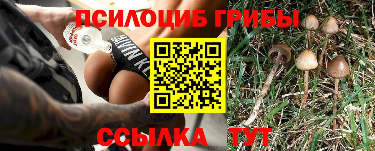 Красноуфимск  Псилоцибиновые грибы GOLDEN TEACHER  Галлюциногенные грибы ЛСД  Вход с VPN 