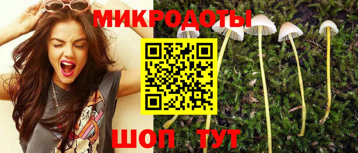 Галлюциногенные грибы Psilocybine cubensis Красноуфимск